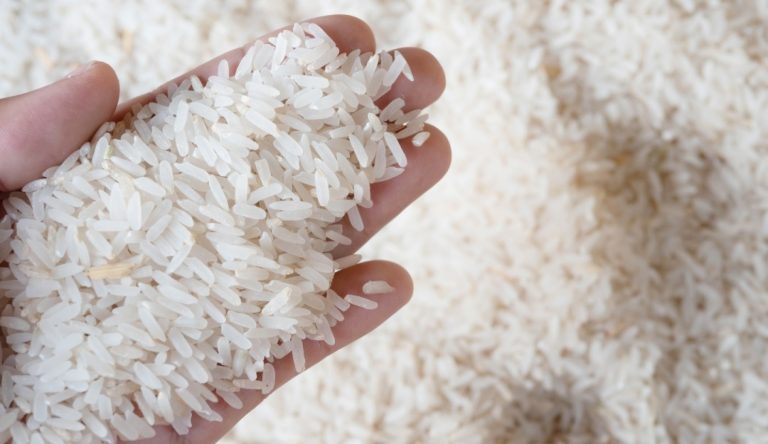 Precio mundial del arroz alcanza su nivel más alto en 15 años, según FAO