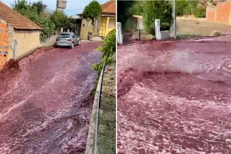 Explota bodega y derrama 2,2 millones de litros de vino tinto en la calle