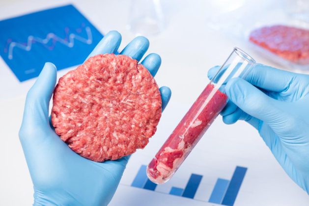 Prohibir venta de carne sintética: Diputados dan media sanción