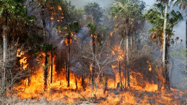 Incendios forestales dejan sin energía eléctrica a varias localidades del país