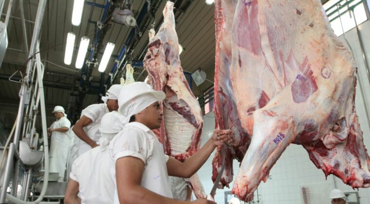 Carne paraguaya deberá competir por el cupo del mercado de EEUU