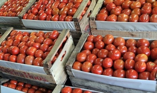 Furor por tomates a G. 9.000 el kilo: “El precio que corresponde”