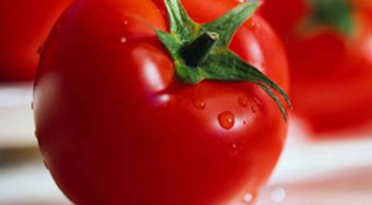 No hay baja producción de tomate: el motivo de la disparada de precio