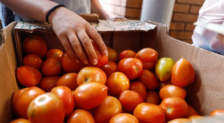 Otra vez sube el precio del tomate y el MAG desmiente que sea por escasez
