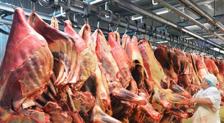 Carne paraguaya a EEUU: trabajo minucioso comienza ahora
