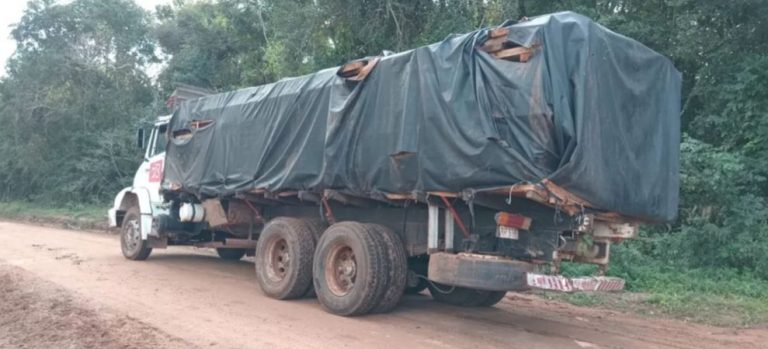 Incautaron camión con madera aserrada presuntamente de origen nativo
