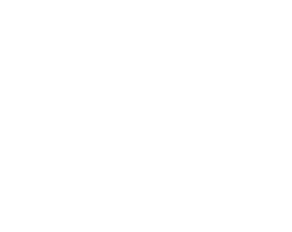 Logo El Angel